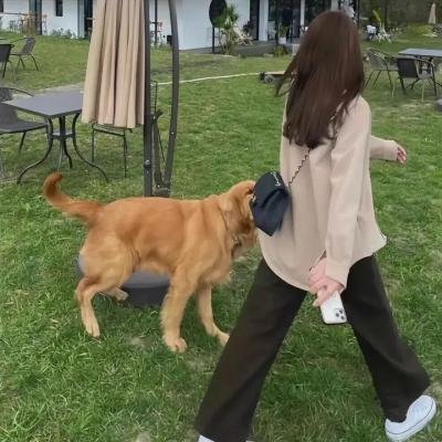 老妈操碎心